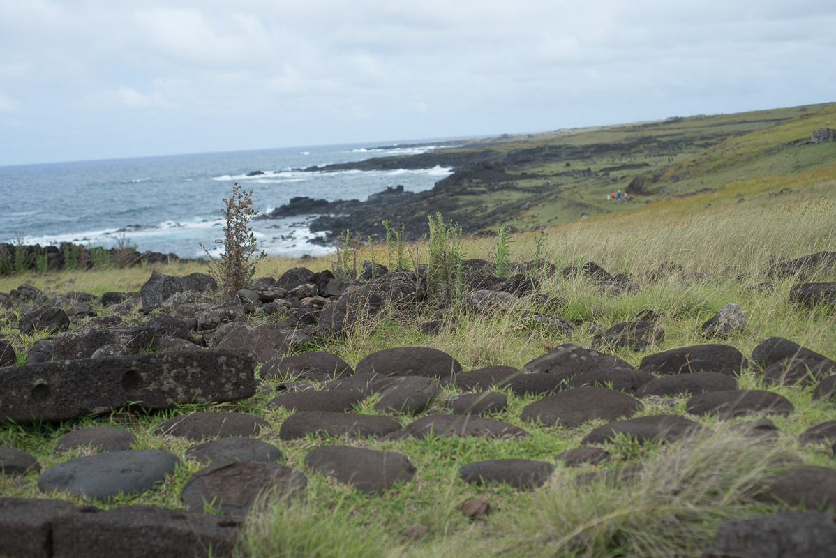 Pamela Yasuko - Oahu  Chicago Travel Photographer Rapa Nui Easter Island Chile-12.jpg