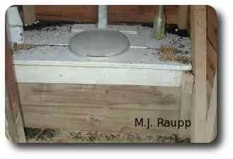 A night time trip to the outhouse can be especially exciting when army ants set up a bivouac inside.