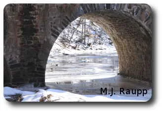 Clean, fast-moving streams and rivers are excellent places to observe winter stoneflies.