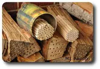 Suitable accommodations for mason bees.