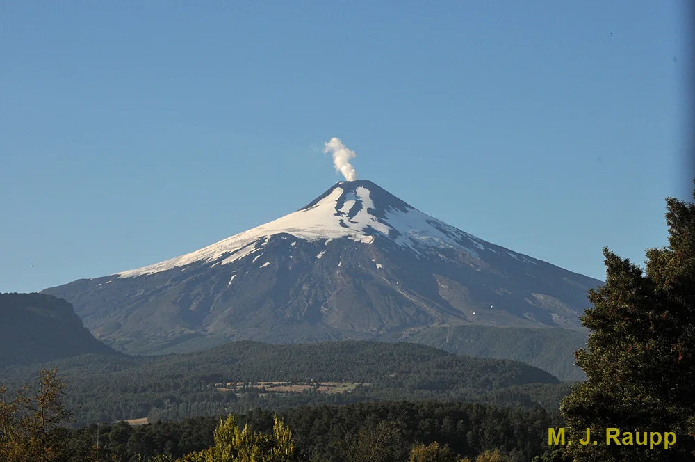 The chinchemolle lives on the slopes of the Villarrica vulcano in Chile.