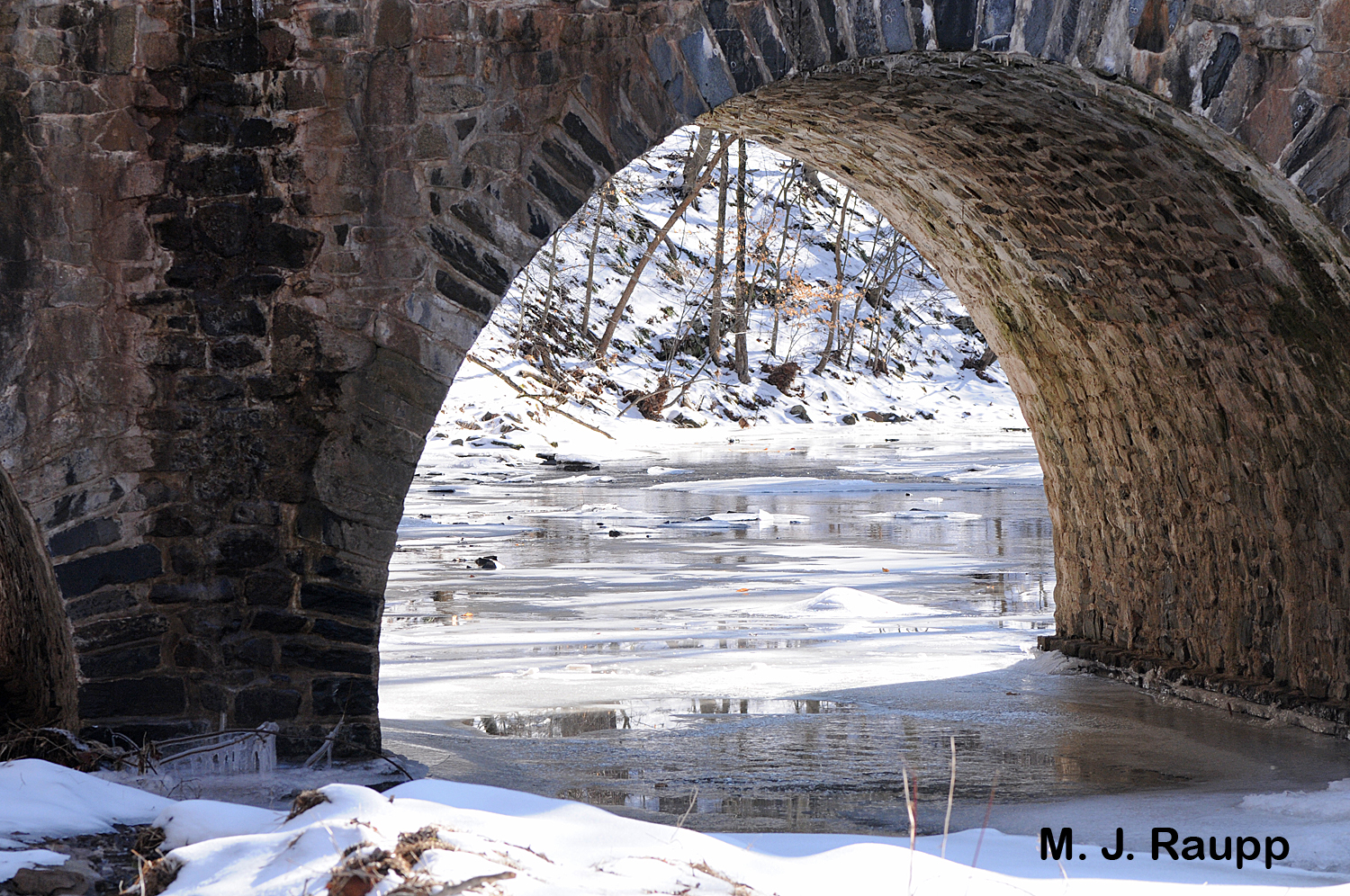 Clean, fast-moving streams and rivers are excellent places to hunt winter stoneflies.