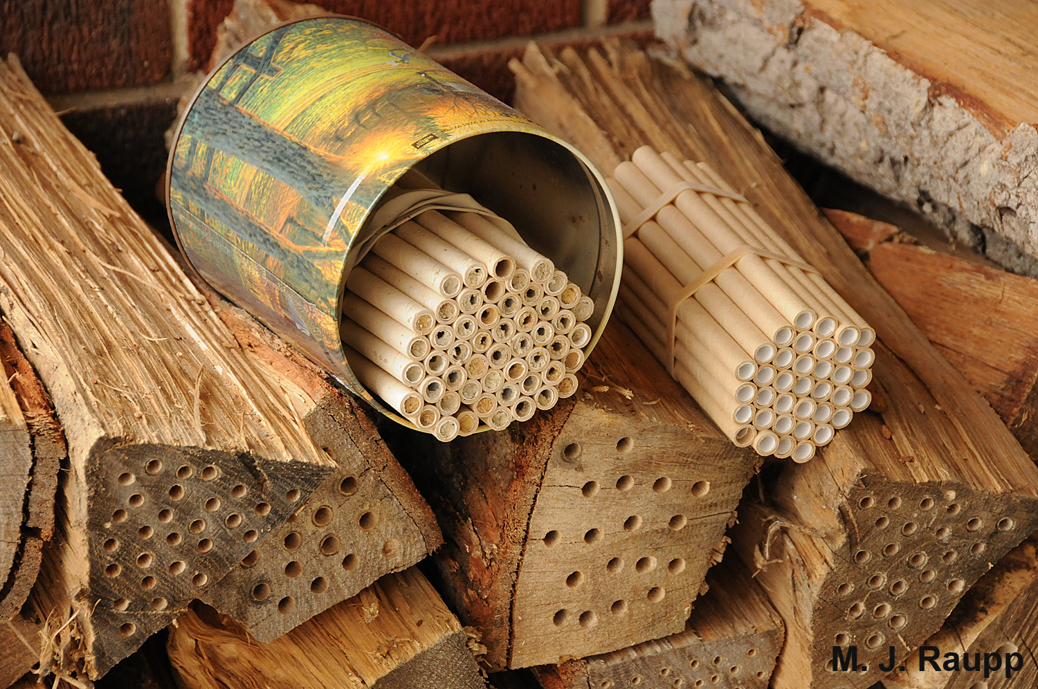 Cardboard tubes and drilled firewood make suitable accommodations for mason bees.