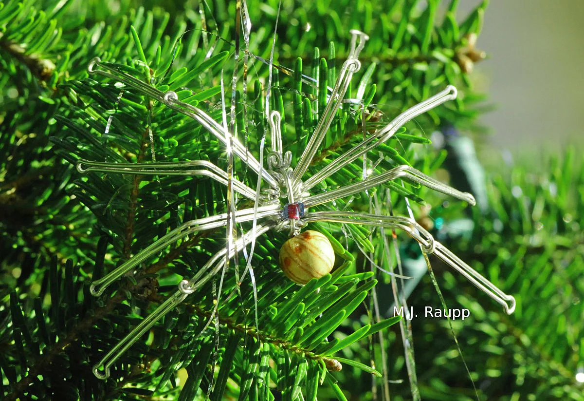 Yes Virginia, there is a spider ornament on my Christmas tree.
Normal
0
false
false
false
EN-US
X-NONE
X-NONE
/* Style Definitions */
table.MsoNormalTable
{mso-style-name:"Table Normal";
mso-tstyle-rowband-size:0;
mso-tstyle-colband-size:0;
mso-style-noshow:yes;
mso-style-priority:99;
mso-style-parent:"";
mso-padding-alt:0in 5.4pt 0in 5.4pt;
mso-para-margin-top:0in;
mso-para-margin-right:0in;
mso-para-margin-bottom:10.0pt;
mso-para-margin-left:0in;
line-height:115%;
mso-pagination:widow-orphan;
font-size:11.0pt;
font-family:"Calibri","sans-serif";
mso-ascii-font-family:Calibri;
mso-ascii-theme-font:minor-latin;
mso-hansi-font-family:Calibri;
mso-hansi-theme-font:minor-latin;}