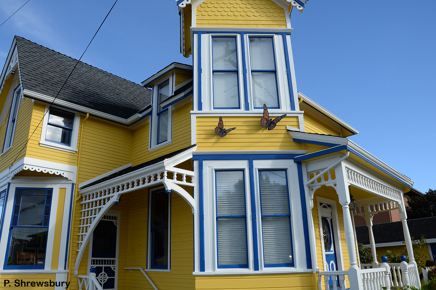 800x600
Homeowners in Pacific Grove, CA, celebrate the historic presence of monarchs in their town.
Normal
0
false
false
false
EN-US
X-NONE
X-NONE
MicrosoftInternetExplorer4
/* Style Definitions */
table.MsoNormalTable
{mso-style-name:"Table Normal";
mso-tstyle-rowband-size:0;
mso-tstyle-colband-size:0;
mso-style-noshow:yes;
mso-style-priority:99;
mso-style-parent:"";
mso-padding-alt:0in 5.4pt 0in 5.4pt;
mso-para-margin:0in;
mso-para-margin-bottom:.0001pt;
mso-pagination:widow-orphan;
font-size:10.0pt;
font-family:"Times New Roman","serif";}