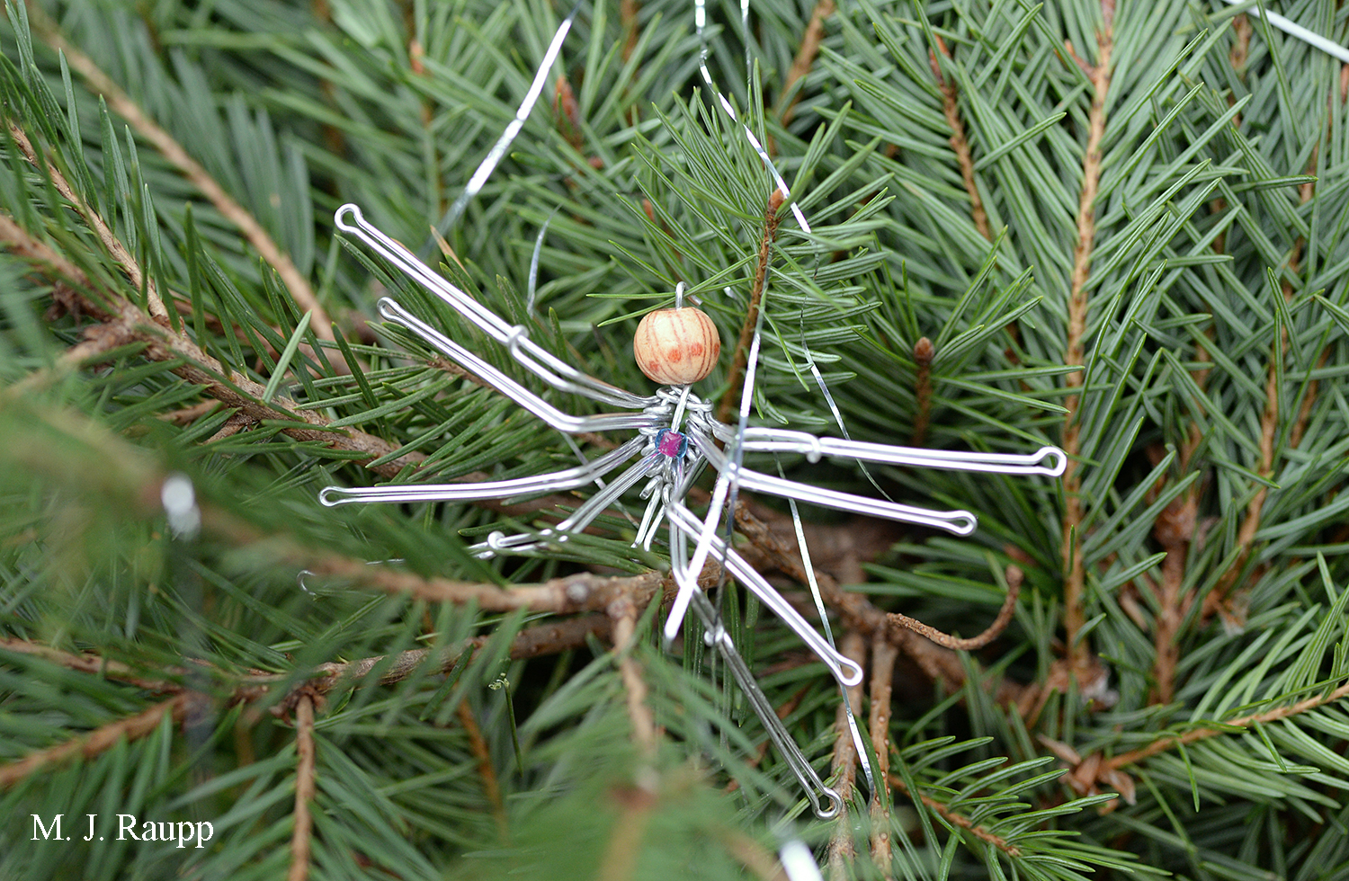 It’s no surprise that the Bug Guy has a spider ornament on his Christmas tree.