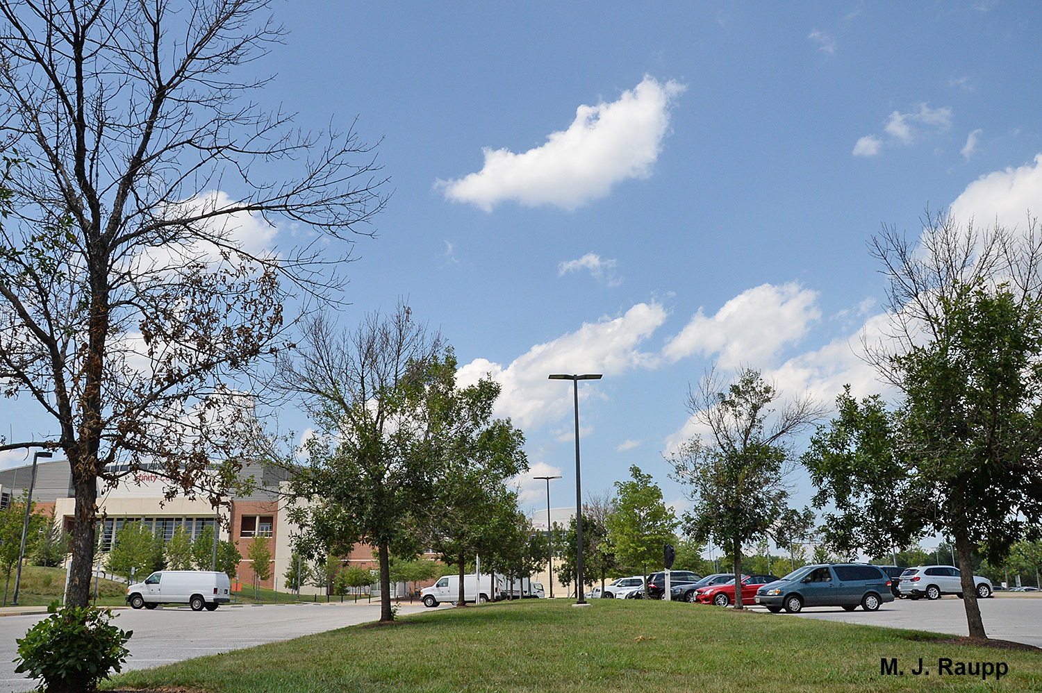Neighborhoods throughout Maryland are feeling the wrath of Emerald Ash Borer. In 2015 EAB came to college at the University of Maryland.