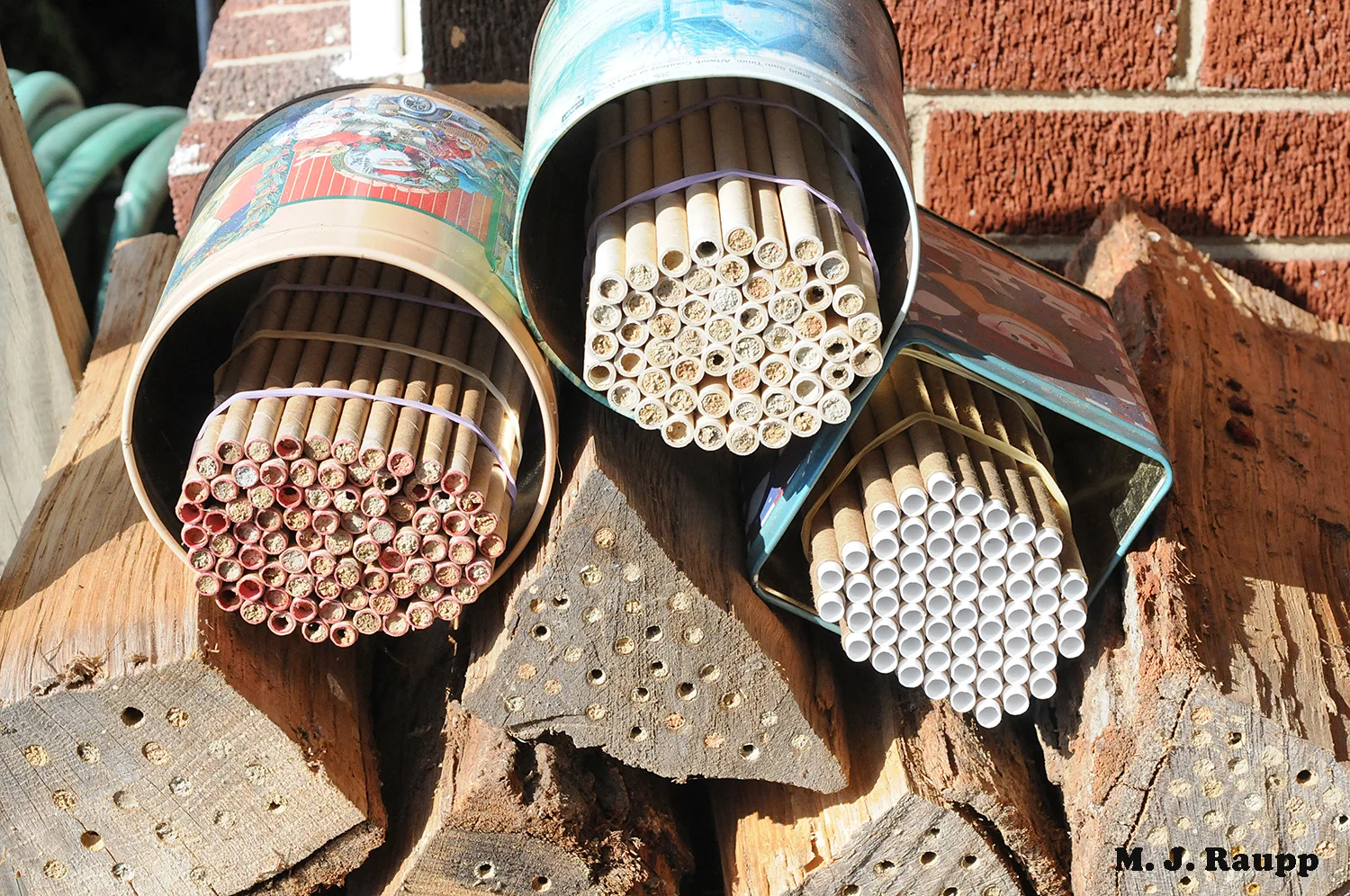 Cardboard tubes and drilled firewood make suitable accommodations for mason bees.