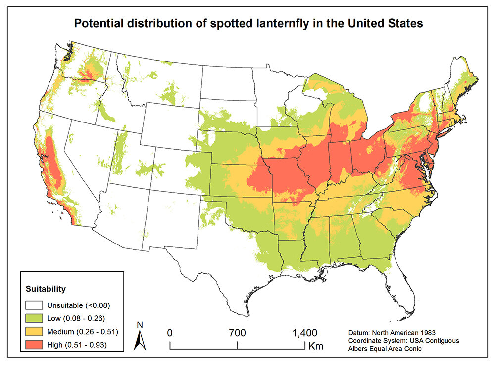 potential-distribution-of-spotted-lanternfly-in-United-States - Copy.jpg