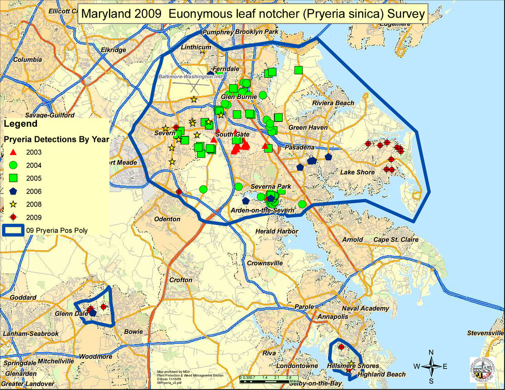 In 2009, surveys conducted by the Maryland Department of Agriculture discovered euonymus leaf-notcher in Anne Arundel and Prince Georges Counties in Maryland. Image credit: Maryland Department of Agriculture