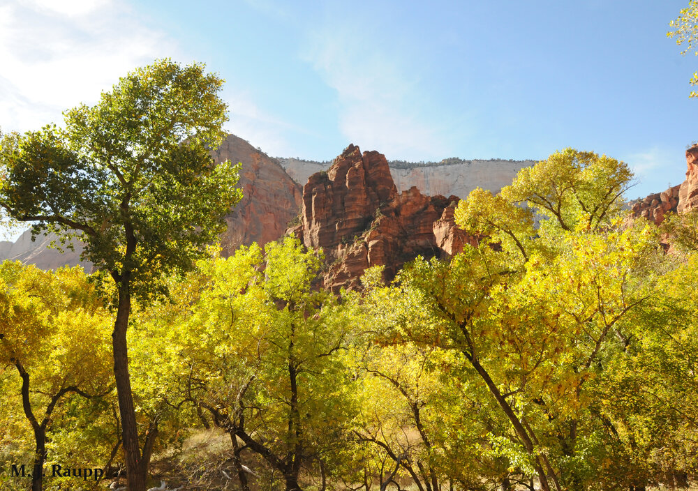 This picture has little to do with the story other than to remind us of the beauty of the desert and our national parks.