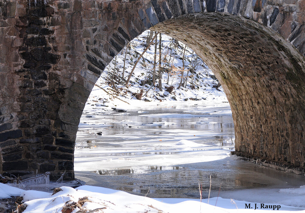 Clean, fast-moving streams and rivers are excellent places to hunt winter stoneflies.