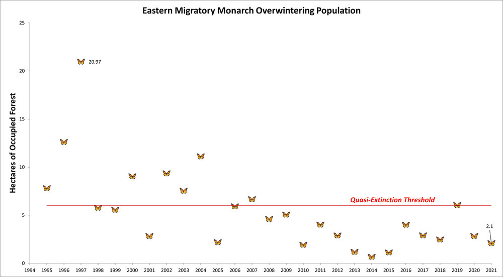 Dramatic declines in overwintering populations of monarchs in Mexico portends a gloomy fate for Eastern Monarchs unless this trend can be reversed. Graph credit: Center for Biological Diversity