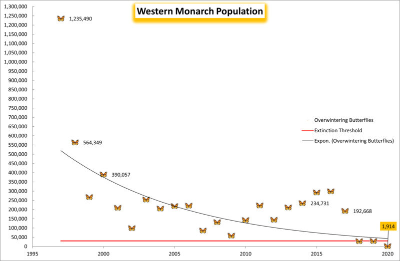 In the winter of 2020 2021, Western Monarch Populations dipped below the extinction threshold. Graph credit: Center for Biological Diversity.