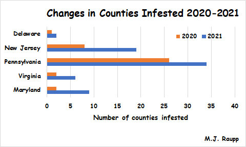 In the DMV and nearby states, the number of counties infested with spotted lanternfly has increased dramatically in the past year.
