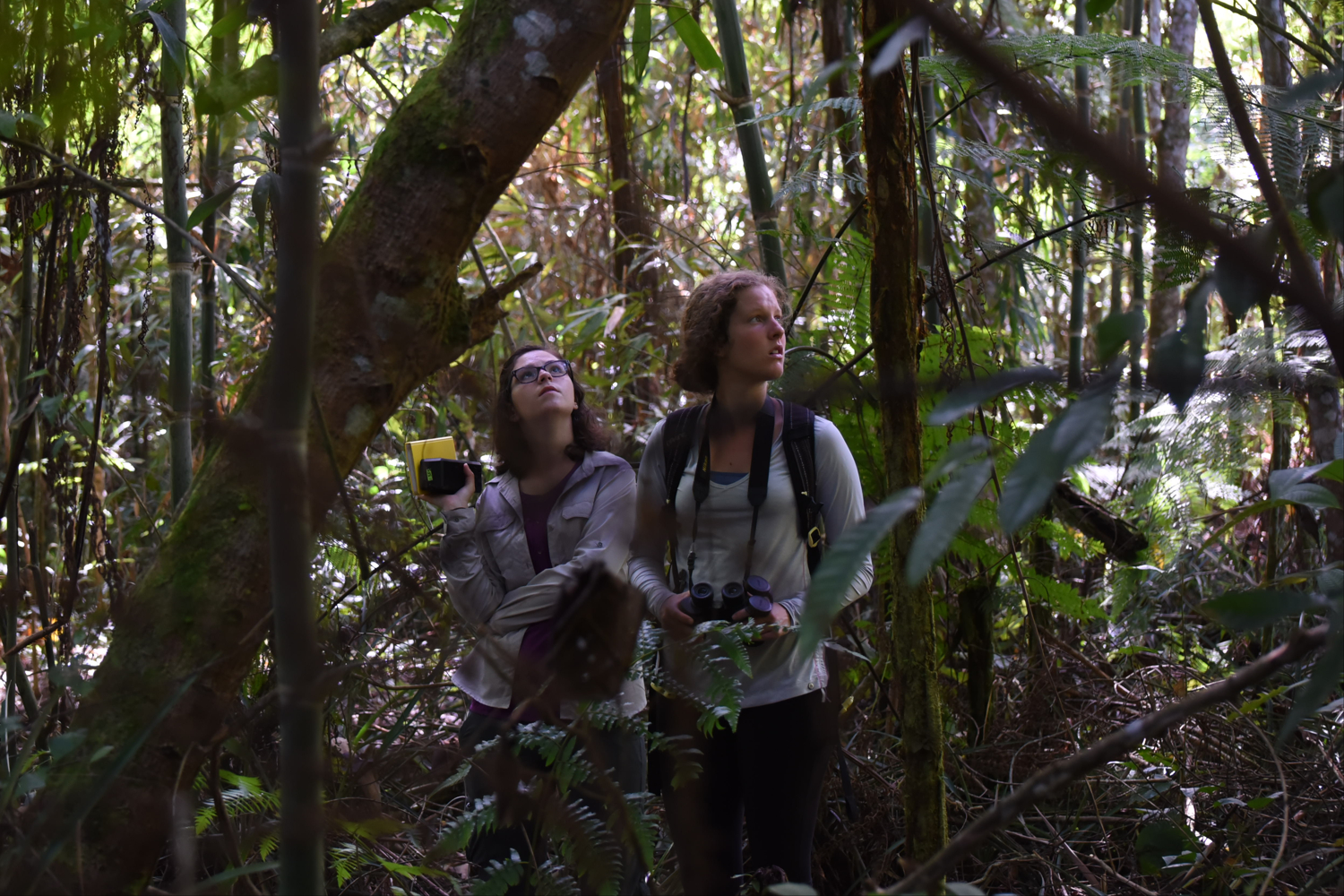  Megan Quirk and Melissa Petrich search for the new sleeping site of a group of night monkeys. Groups sometimes change sleeping sites seasonly or in the case of an disturbance. 