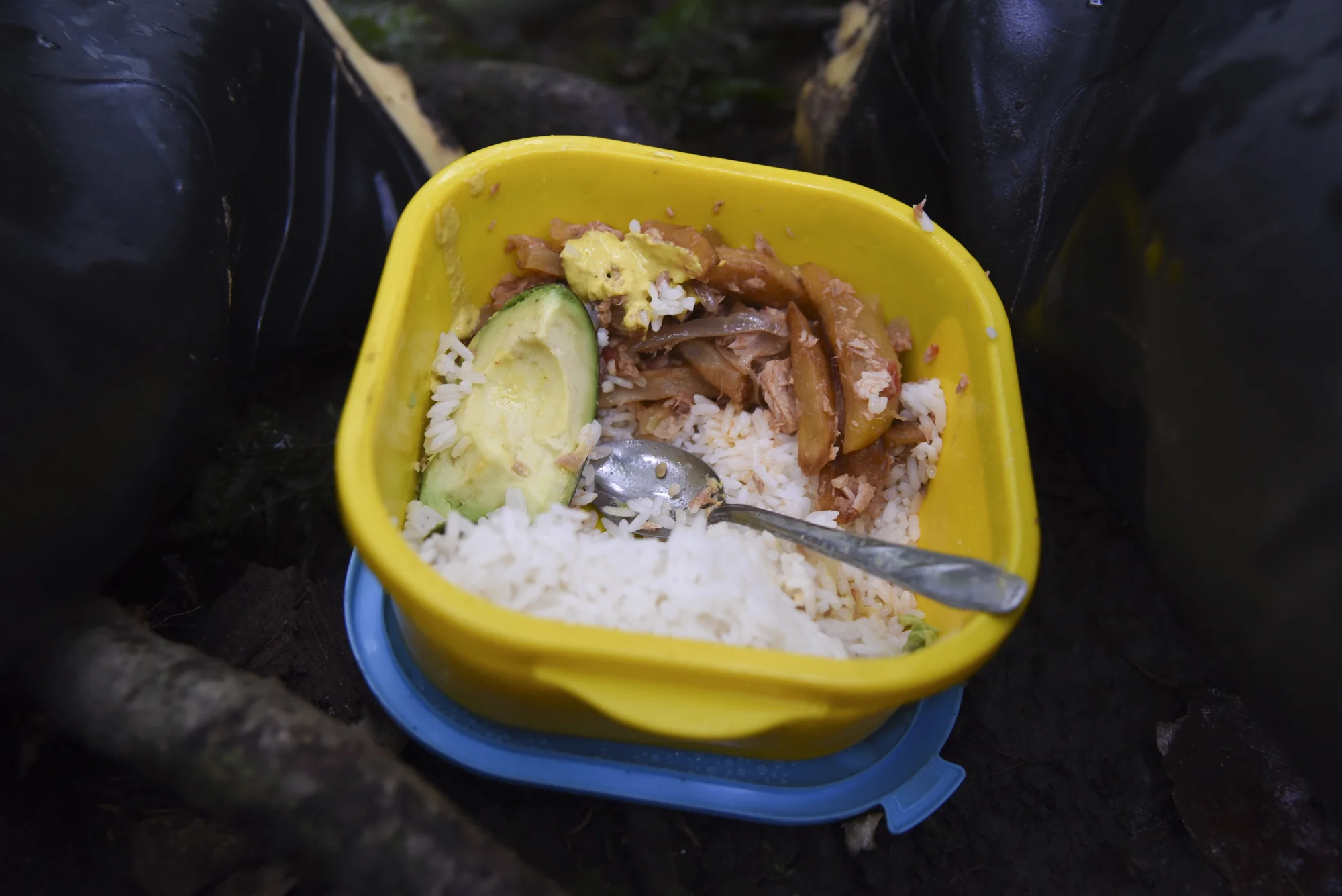  A lunch of sautéed tuna and vegetables and rice is welcomed comfort in the cold rain. 