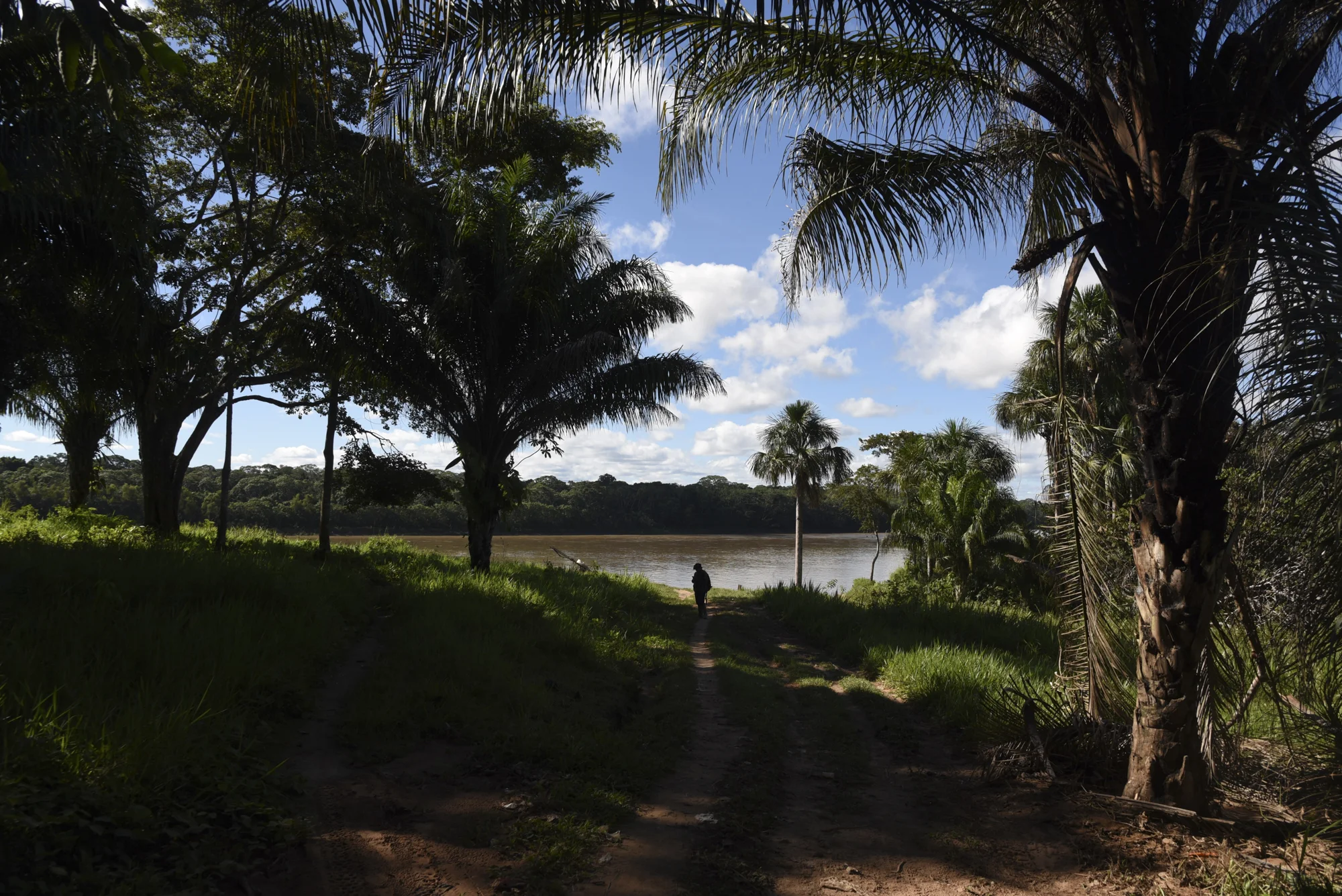  Yohamir searches for cell phone signal at the indigenous community of Palma Real. He must first recharge minutes on his phone to complete the registration of his results. 