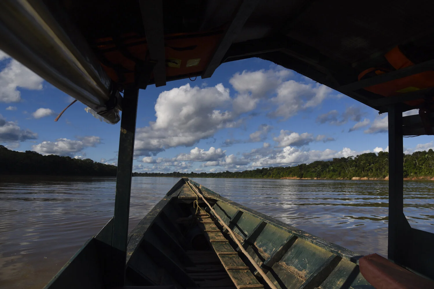 Global Big Day Bird Count in the Amazon Savanna — Jessica Suarez