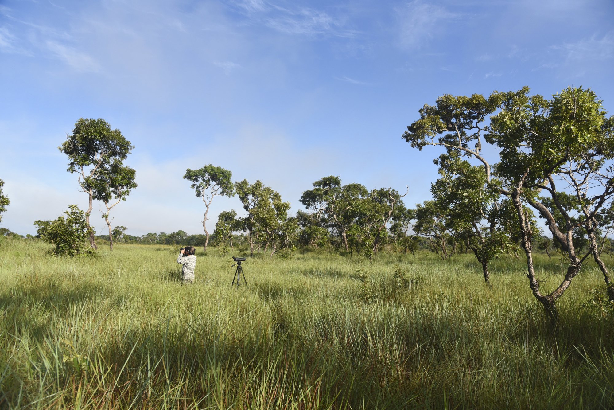  Birder Yohamir Casanca Leon counts birds in Bahuaja-Sonene National Park on the Global Big Day, May 4, 2019, in a remote savanna area on the border of Peru and Bolivia that boasts 28 endemic bird species.  