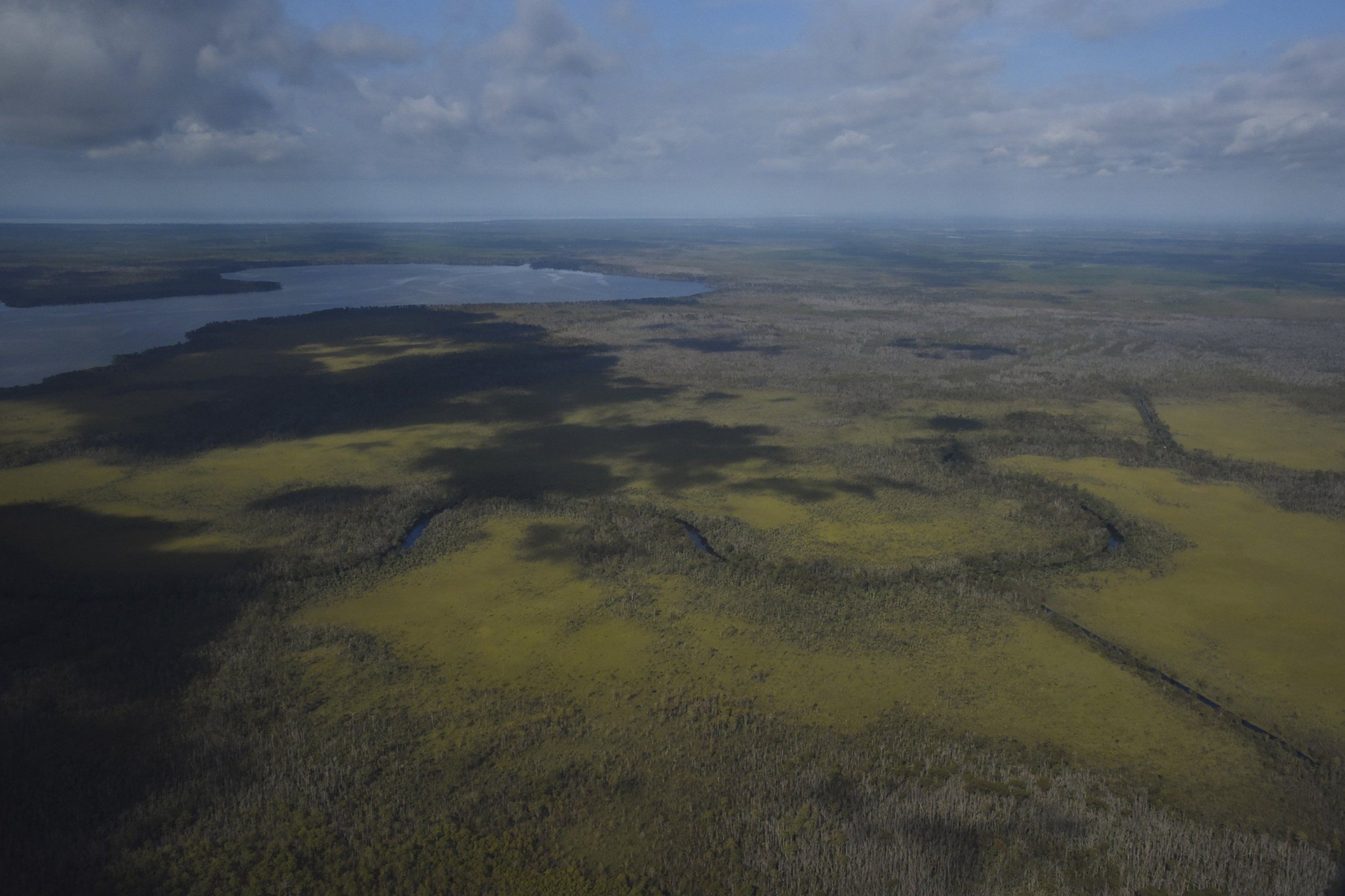  A view of red wolf habitat on the panhandle of Florida can be seen from above. Red wolves historically ranged from east Texas to New York now only inhabit two small coastal habitats in the southeastern, United States.  