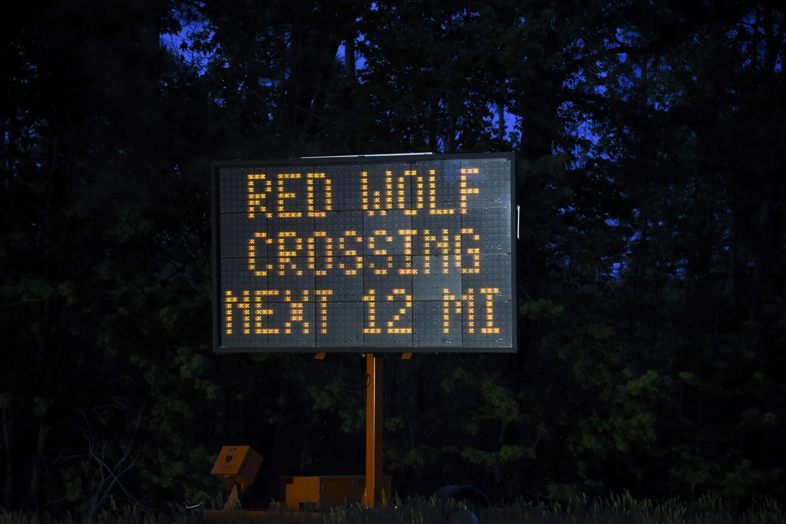  The US Fish and Wildlife Service recently purchased several electric sign boards to place near roads that wild roads wolves have been tracked crossing. They are hopefully that this type of warning could help reduce the number of wolf vehicle fatalit