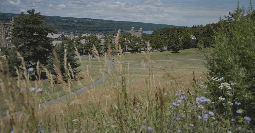 Stills from a recent grasslands story with the Cornell Chronicle that we created for @cornellbirds. I learned a lot about how local grasslands are managed and the benefits they provide. As well as how we can better protect threatened grassland birds 
