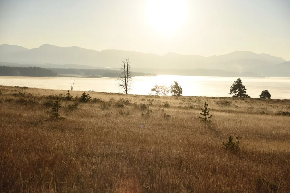 More from Yellowstone National Park with @caribou.whalibou. Still feeling a bit awestruck.

#yellowstone #yellowstonenationalpark #nationalpark #explore #landscapephotography #discover