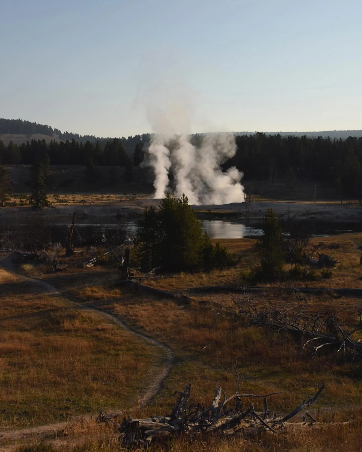 Yellowstone National Park with @caribou.whalibou. One of those special places that does not underwhelm, but instead leaves you a bit gobsmacked. 

#yellowstone #yellowstonenationalpark #wyoming #explore #discover
