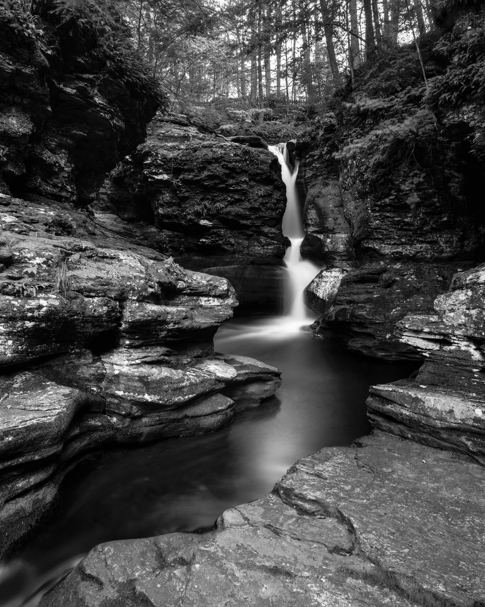  Adams Falls, Rickett's Glen State Park, Pennsylvania 
