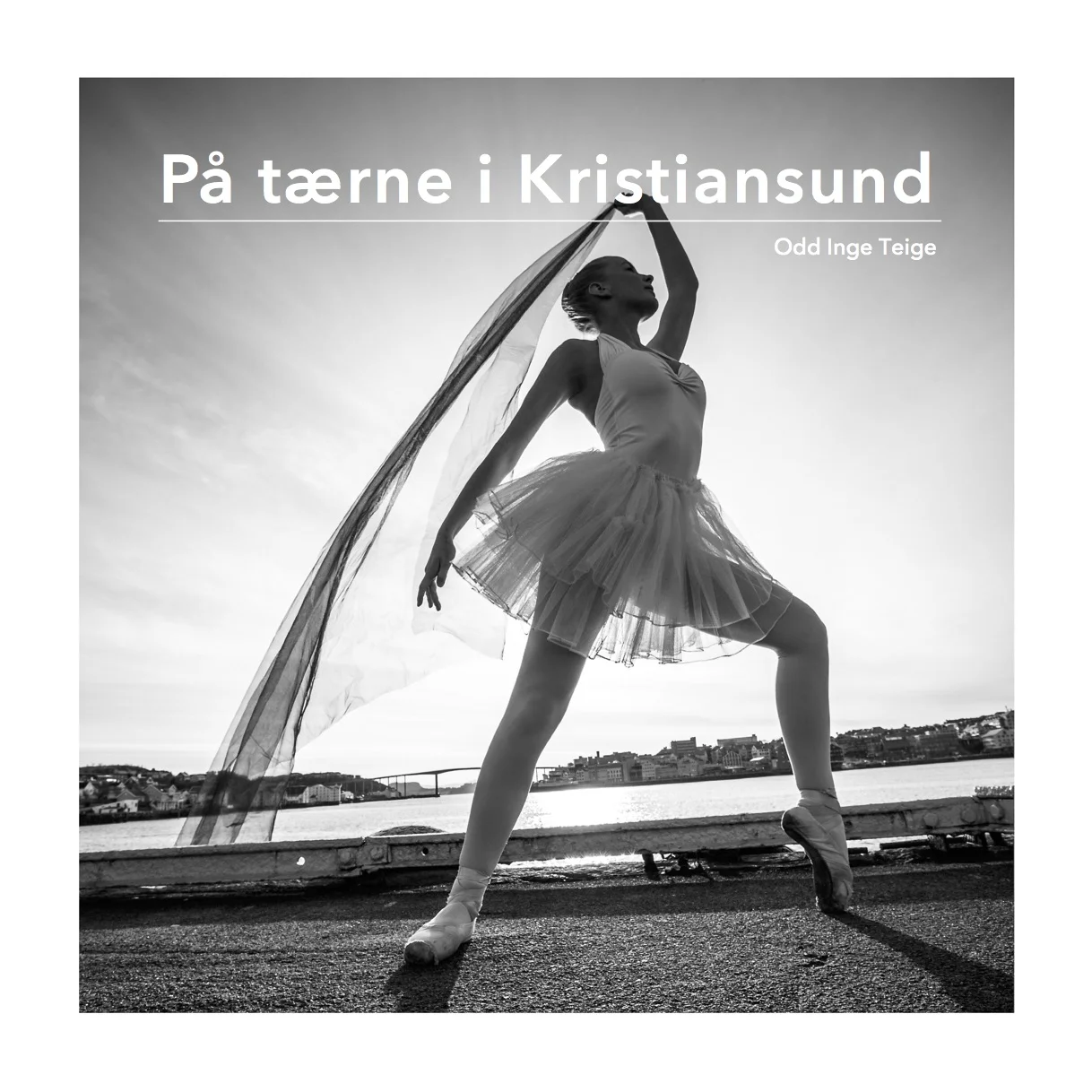 Boken er utdrag for et større fotoprosjekt som jeg gjennomførte i 2013-2014 i samarbeid med noen av de beste danserne ved Operaens Ballettsenter. Stylist: Karina Gregersen. Gaffer: Ragnar Hals. Kostymer: Operaen i Kristiansund.