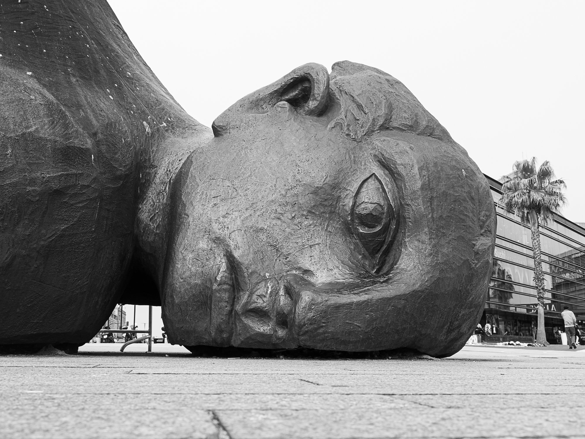 Med kamera i Vigo / Con la cámara en Vigo