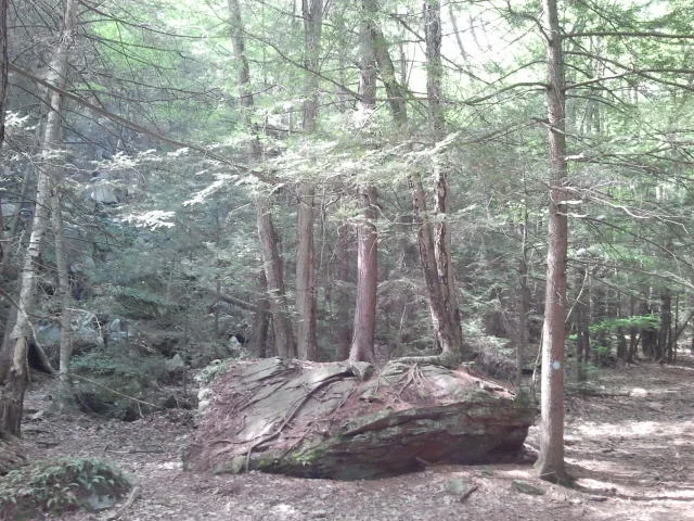 2012-05-13 15.29.26.jpg