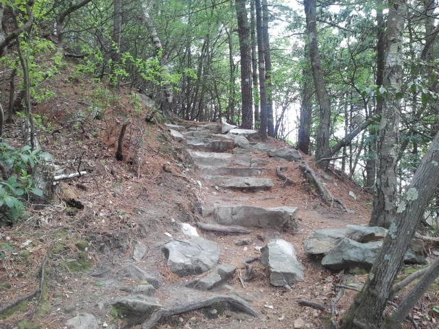 2012-05-13 15.53.09.jpg