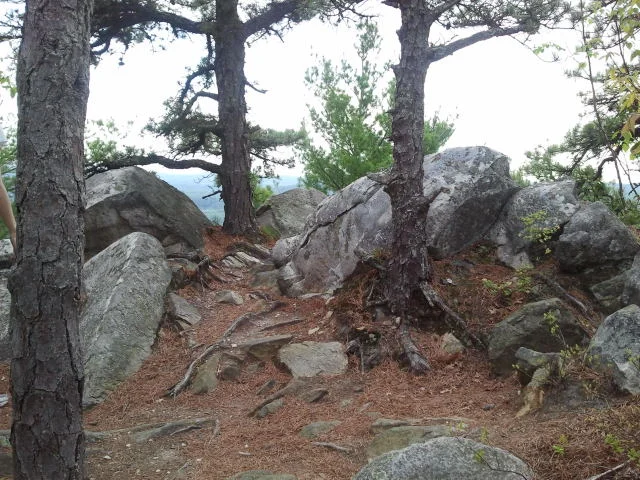 2012-05-13 16.50.09.jpg