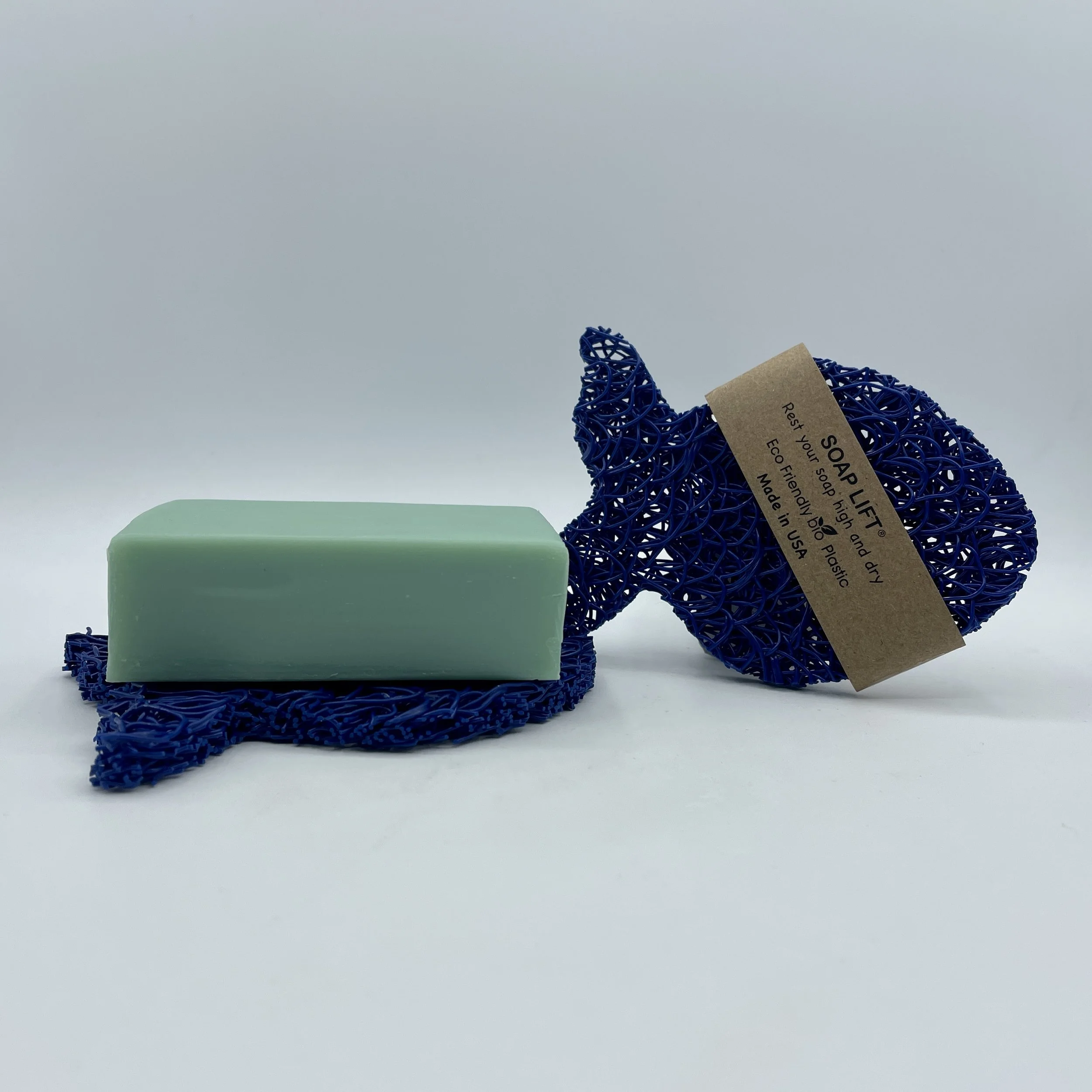 royal blue fish.jpg
