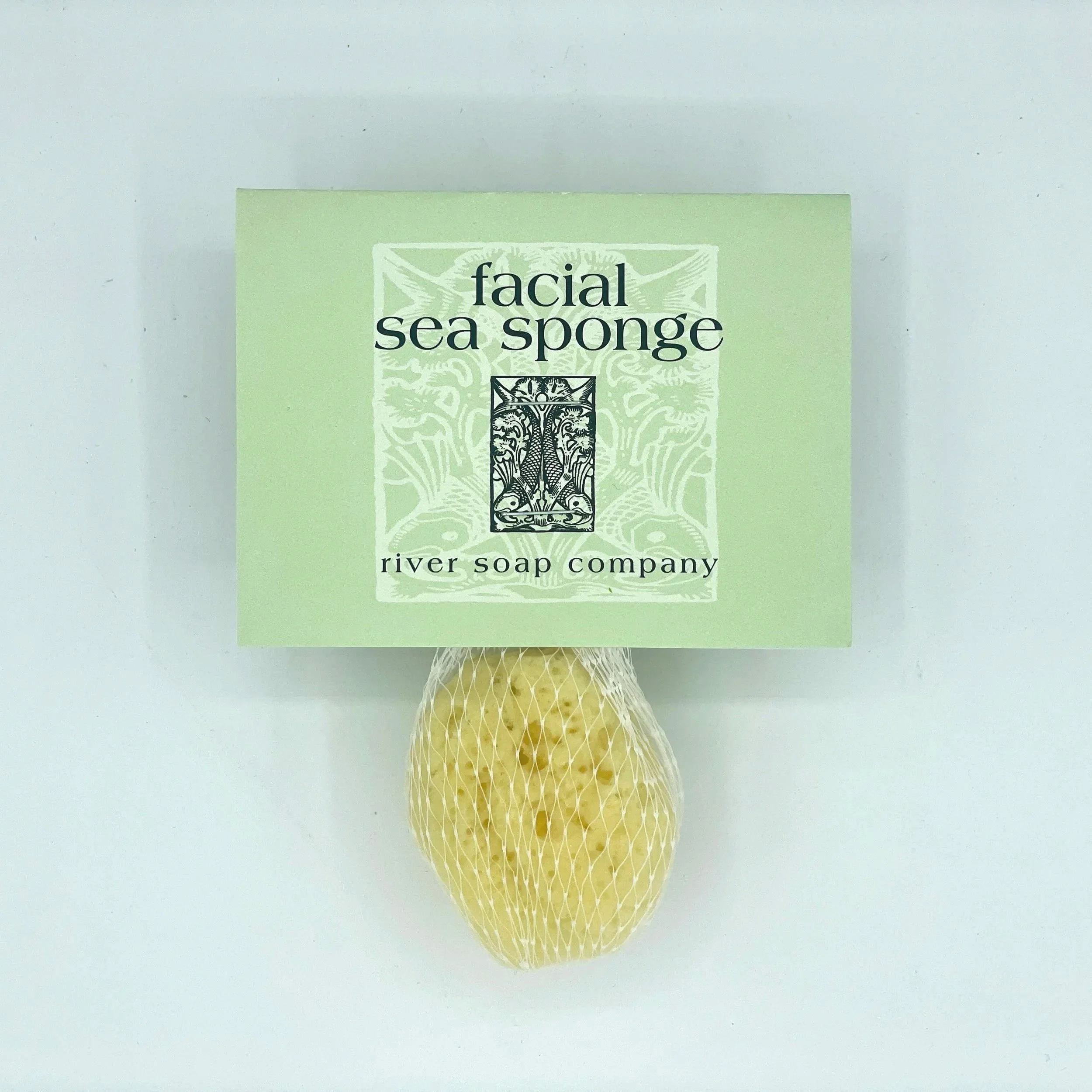 facial+sponge.jpg