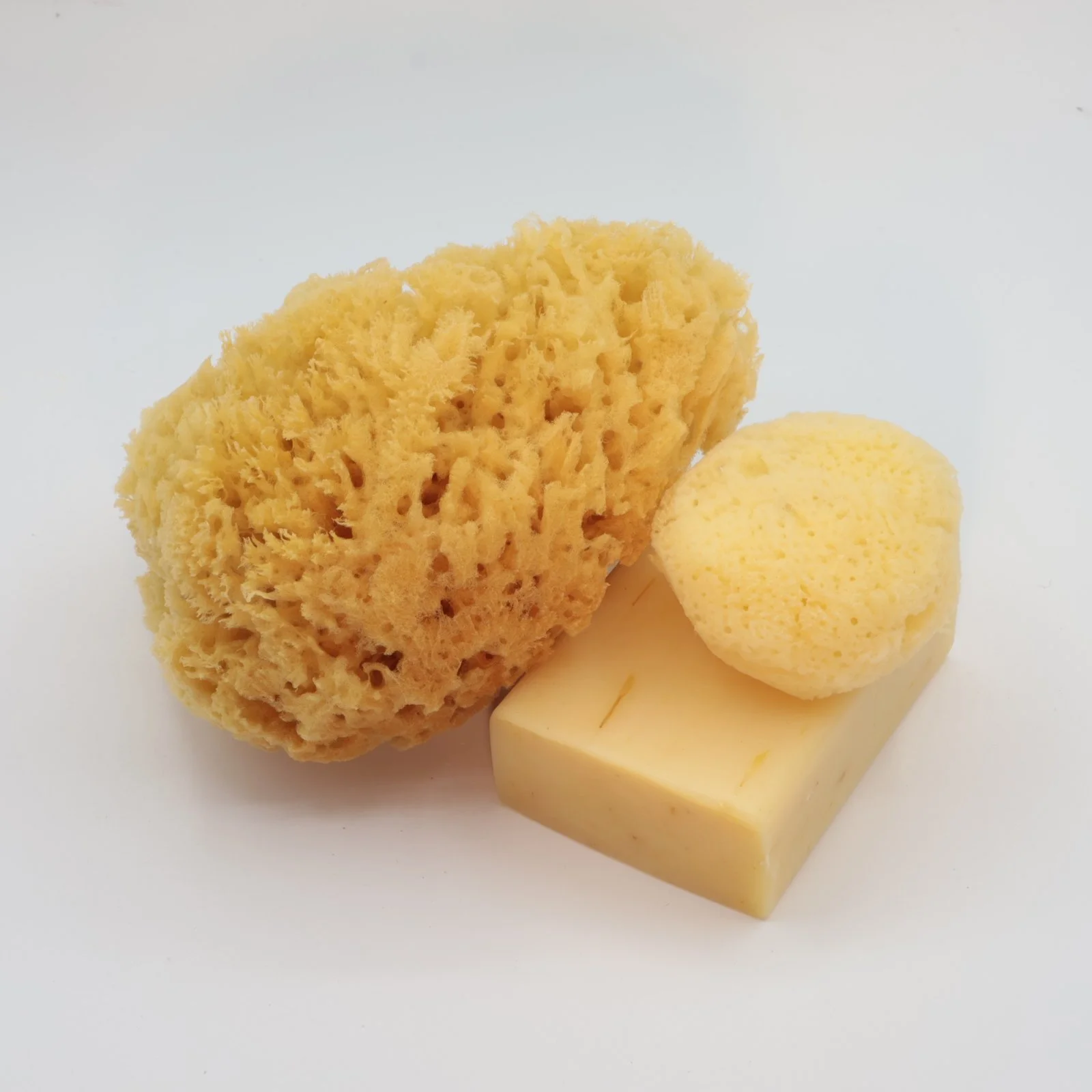 natural sea sponge farmed and harfested in the USA.JPG