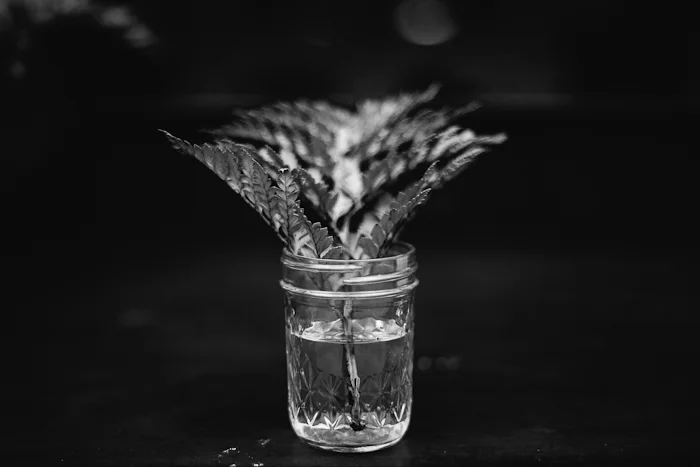 WATTS20160601-1.jpg