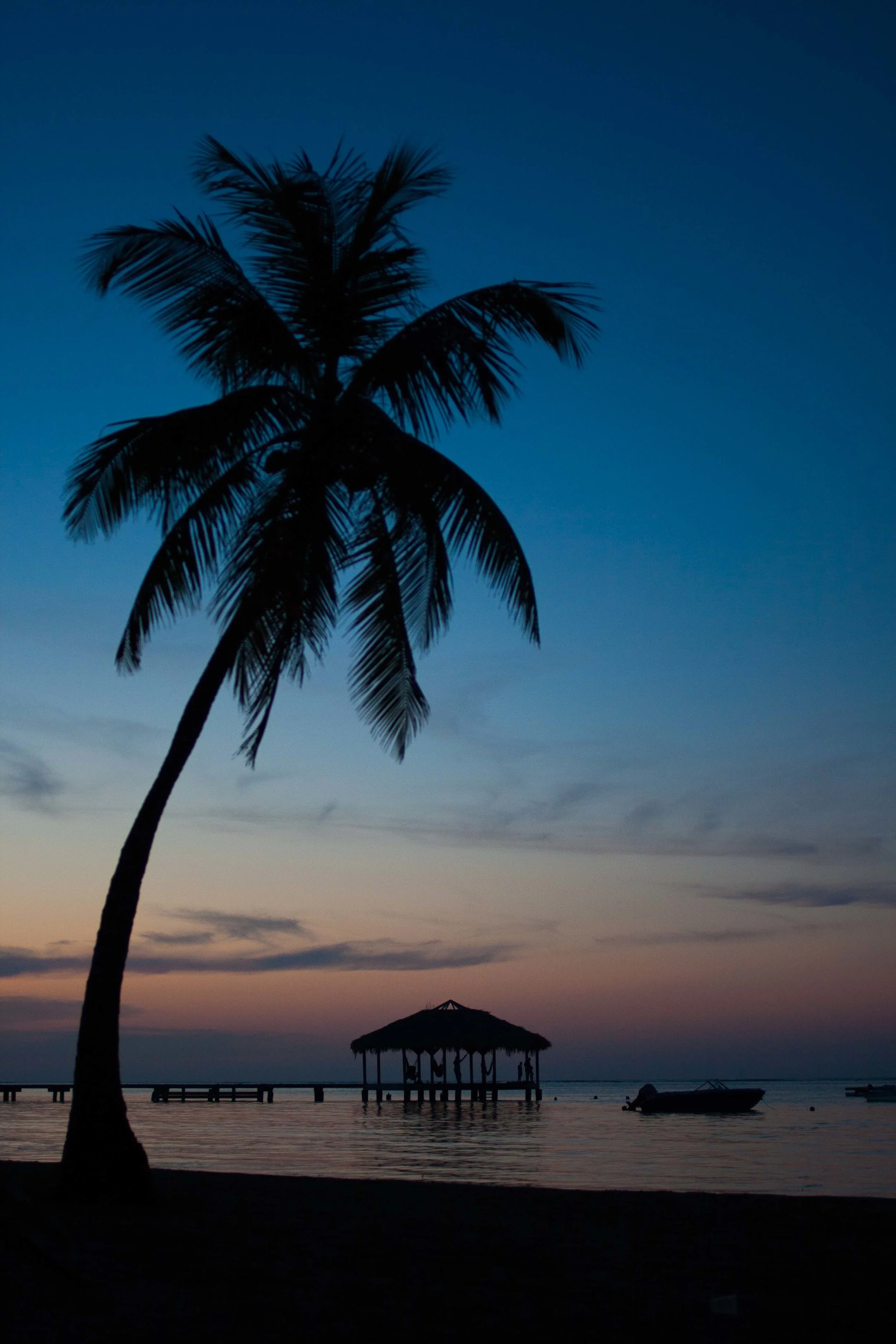 lifebeach-8.jpg