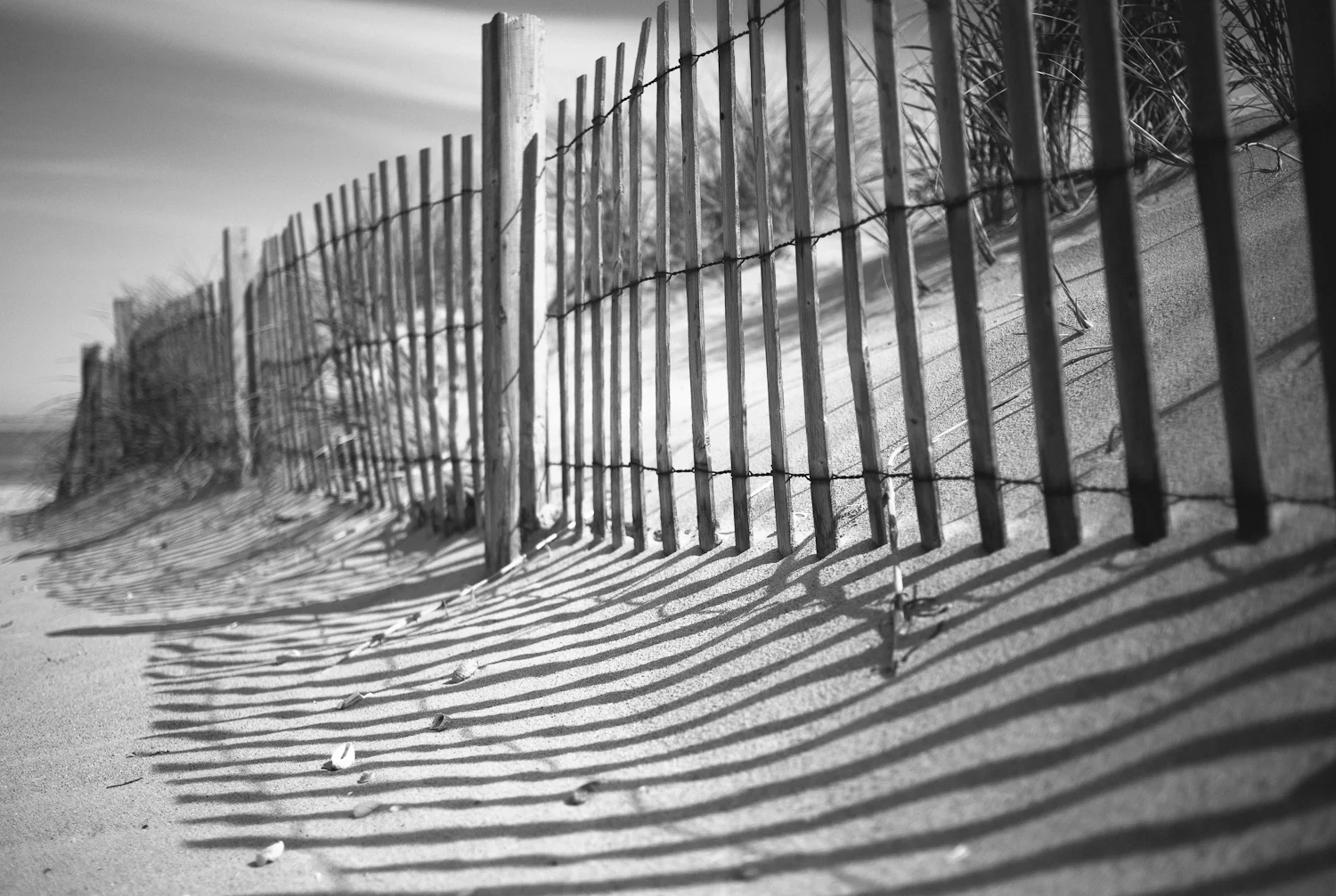 Transient