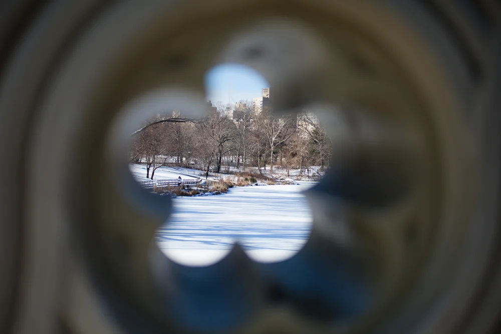 26/265 A peek at the park in the snow