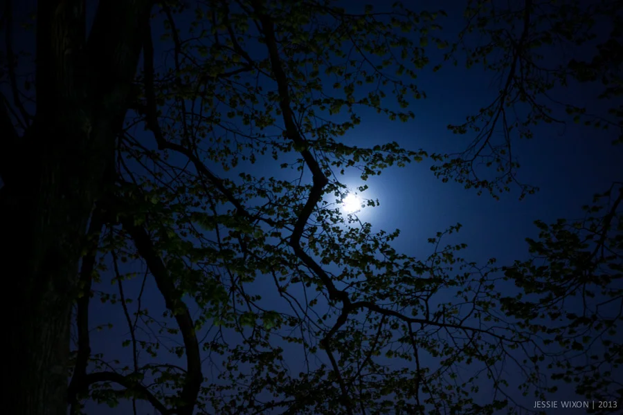 117/365 Full moon