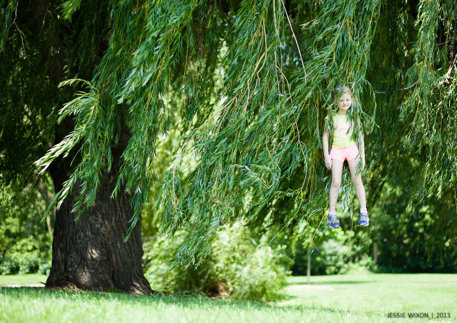 181/365 Just hanging in a willow
