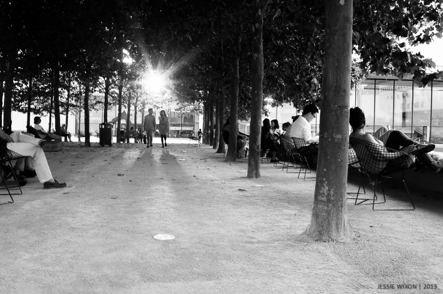 191/365 Finding the light