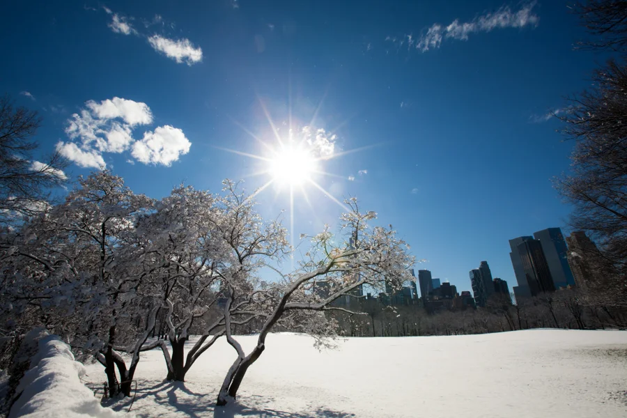 Central Park after the Snow - NYC Photographer — Jessie Wixon Photography