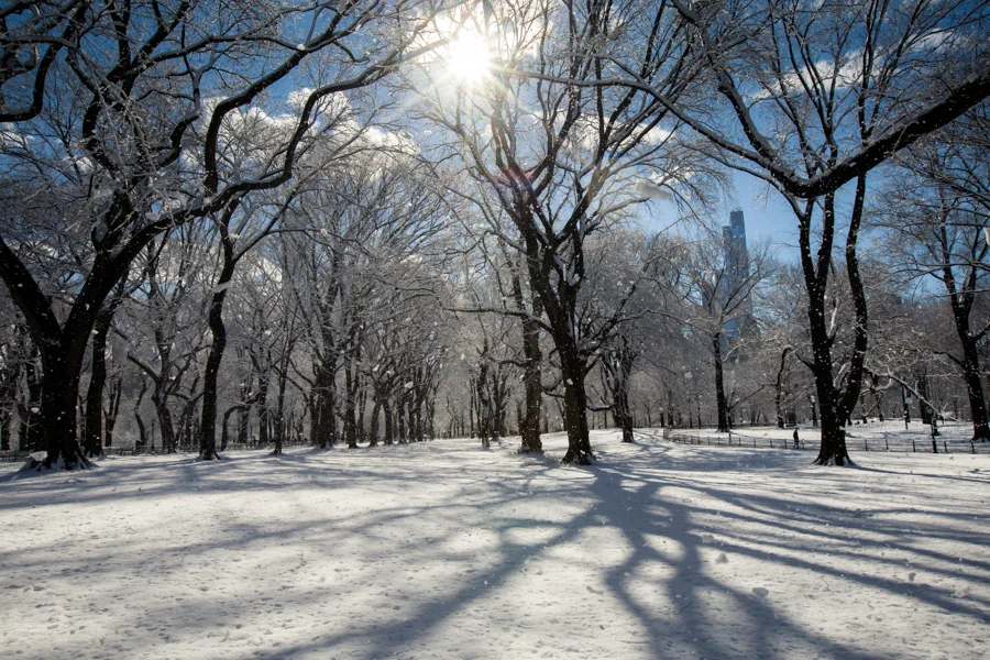 Central Park after the Snow - NYC Photographer — Jessie Wixon Photography