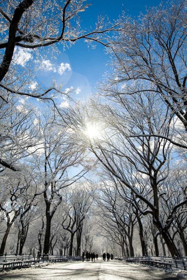 Central Park after the Snow - NYC Photographer — Jessie Wixon Photography