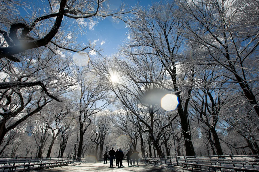 Central Park after the Snow - NYC Photographer — Jessie Wixon Photography