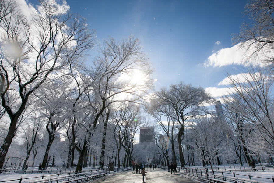 Central Park after the Snow - NYC Photographer — Jessie Wixon Photography